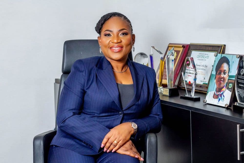 CEO appointed to drive the vision of Ingentia Energies Limited